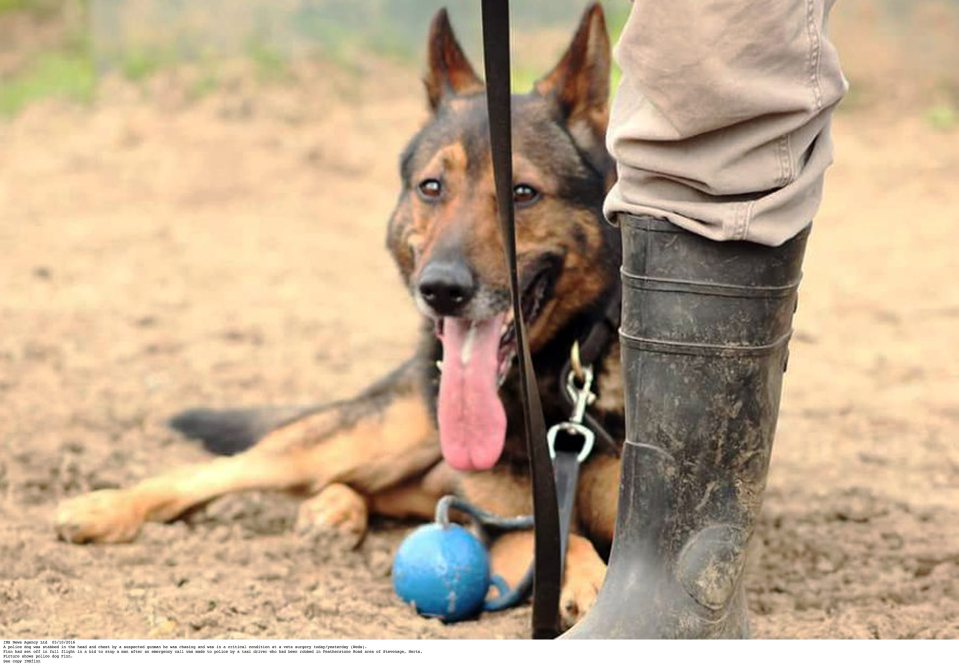  The officer received an injury to his hand and Finn suffered wounds to his head and chest