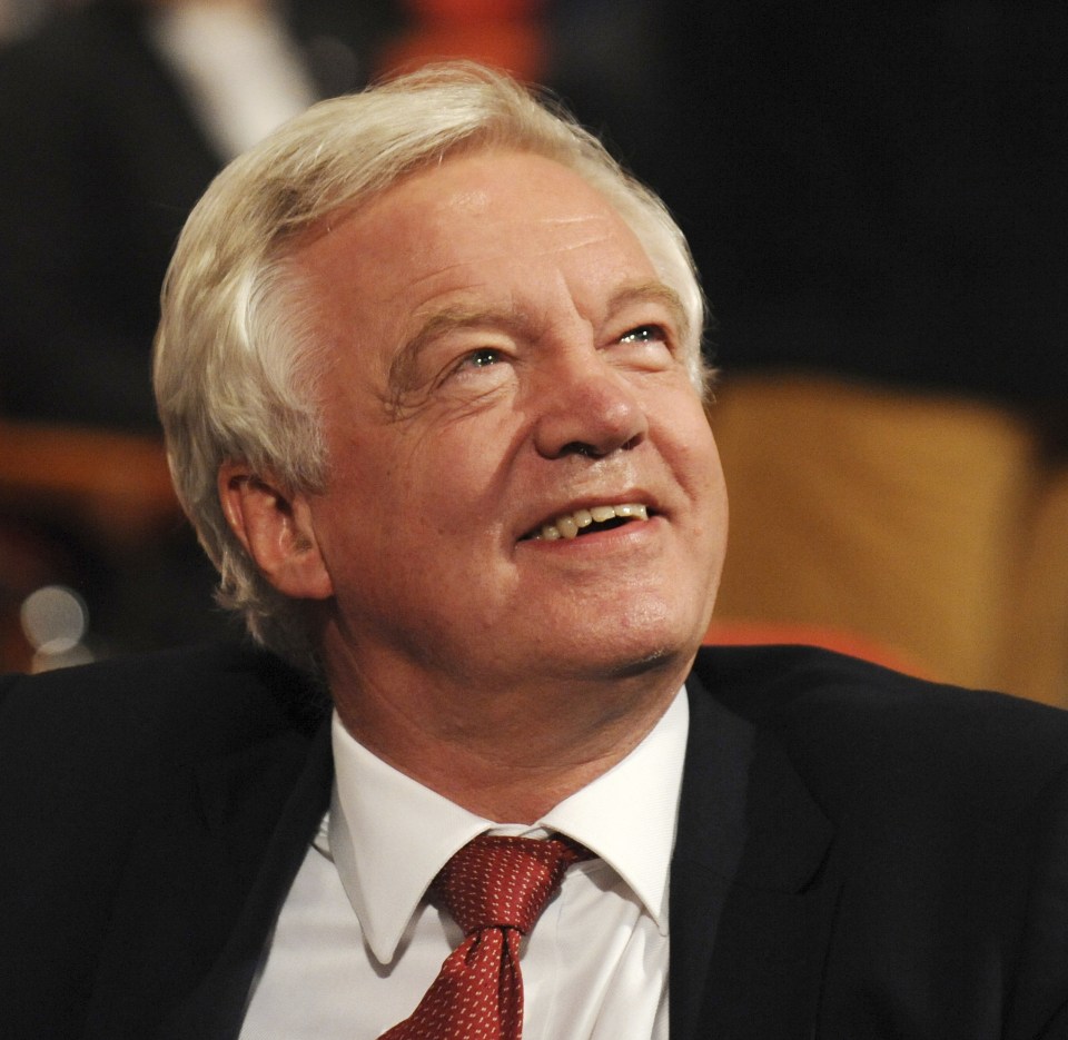  The committee will oversee the work of David Davis and his Brexit department