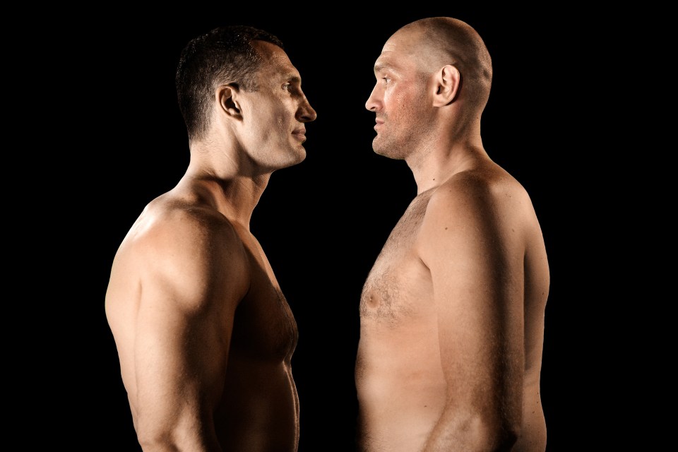 Fury was scheduled to face Wladimir Klitschko in a rematch, but was forced to pull out with depression