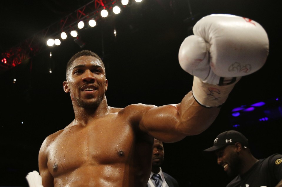  Anthony Joshua will have his fight against Wladimir Klitschko