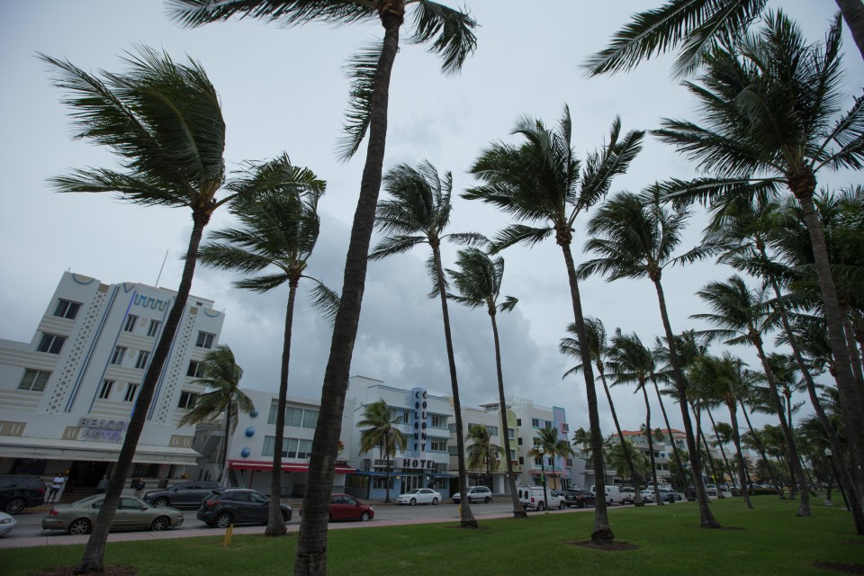 Trees billow in the gale-force winds currently hitting Miami Beach, Florida