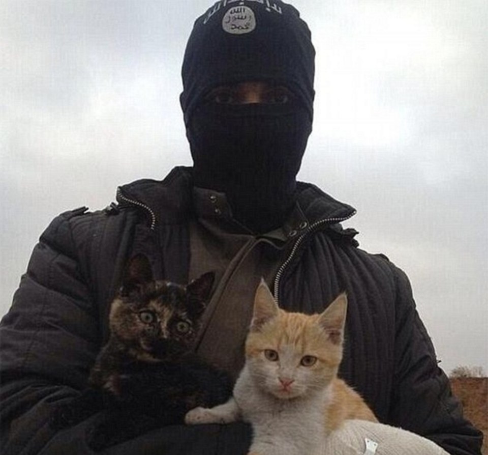  Their new target comes despite ISIS recruiters posting images of kittens to encourage new recruits