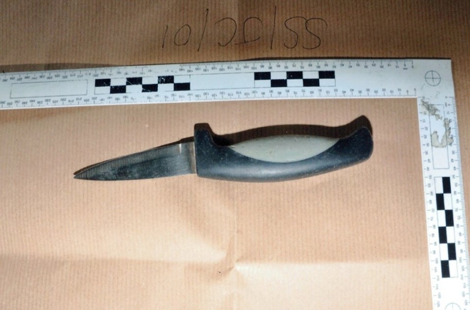  The court heard that the teenager had used a kitchen knife to stab her friend in the chest