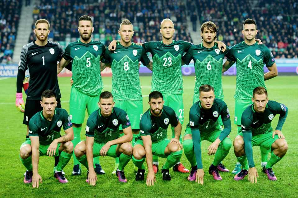 Slovenia are yet to lose any of their World Cup qualifiers