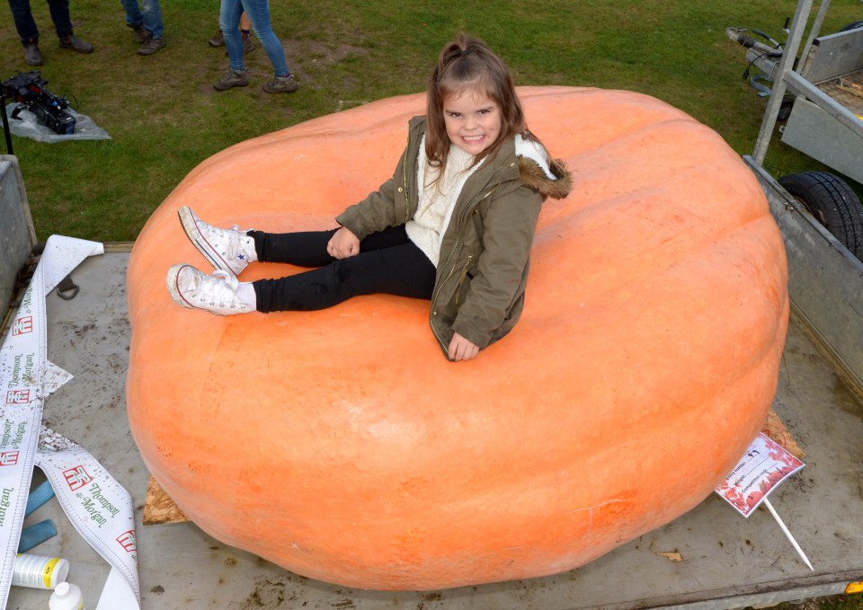 This beast of a pumpkin weighed in at 