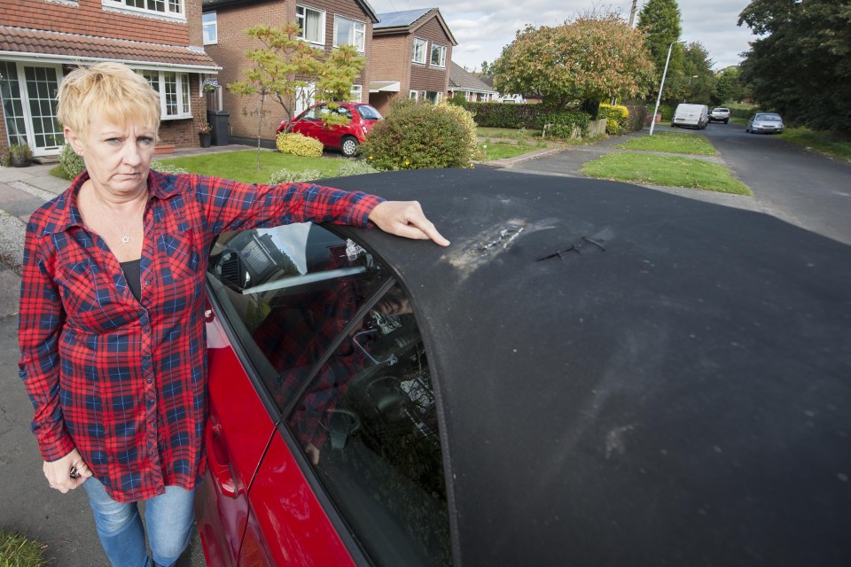 STALKER IN SUBURBIA: MUMS CCTV CAPTURES HOODED MAN RETURN TO SLASH BMW ROOF - AND FILL CAR WITH DEAD FISH AND MILK