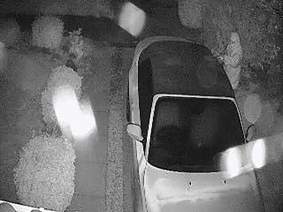 STALKER IN SUBURBIA: MUMS CCTV CAPTURES HOODED MAN RETURN TO SLASH BMW ROOF - AND FILL CAR WITH DEAD FISH AND MILK