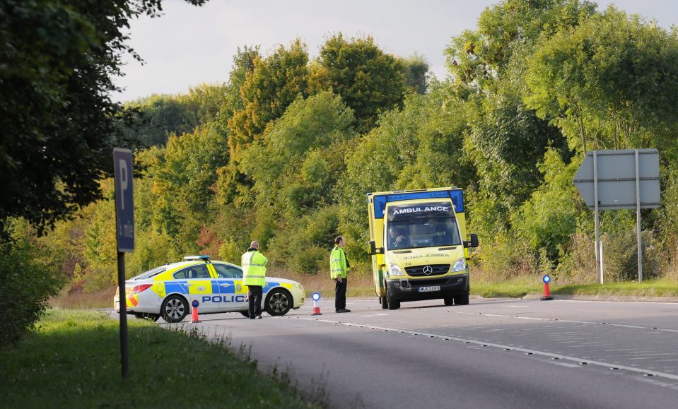  A teenage driver and his young passenger died following a collision on the A36 on Monday