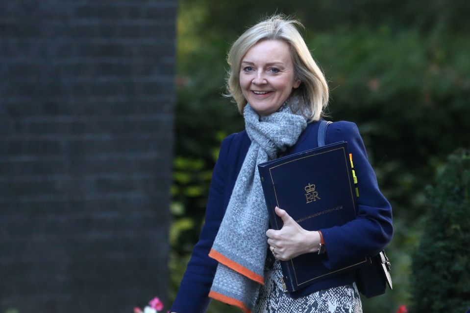  Justice Minister Liz Truss plans mandatory drug tests on all prisoner entering and leaving UK jails