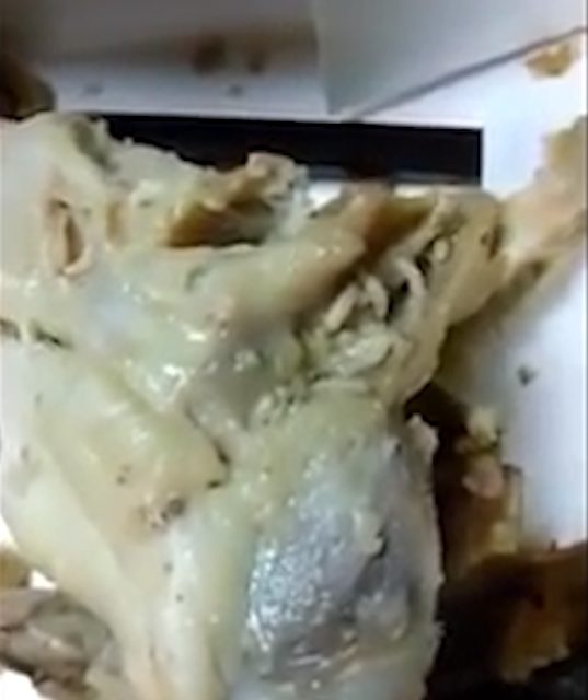 Mobile phone footage shows maggots on KFC chicken