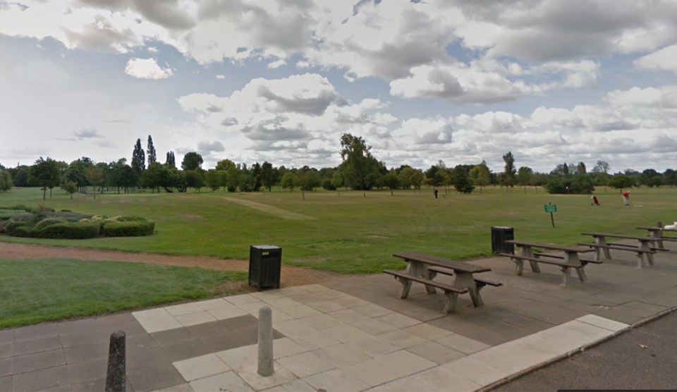  Ali dragged the victim into a secluded spot in Perivale Park and brutally attacked her