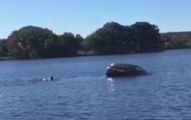  Brave swimmer makes his way to the sinking car