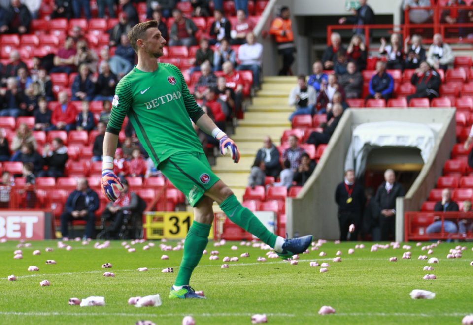 Pigs really did fly when Charlton and Coventy fans interrupted their match this season