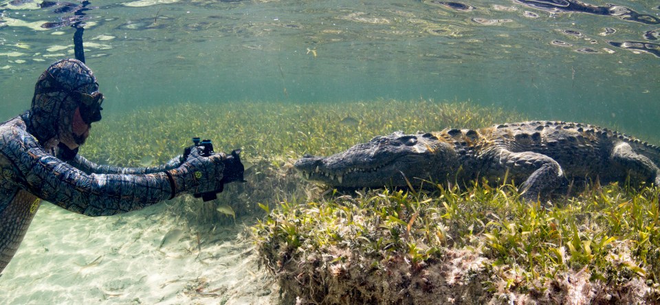 Forrest Galante dresses in a crocodile wetsuit to feel more at ease with the wild predators