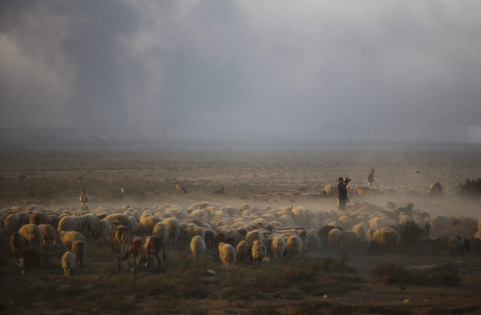 Civilians herd their sheep while clouds of black smoke block the sunlight