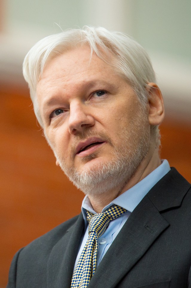  WikiLeaks, founded by Julian Assange, feared its supporters were responsible and urged them to "stop taking down the US internet"