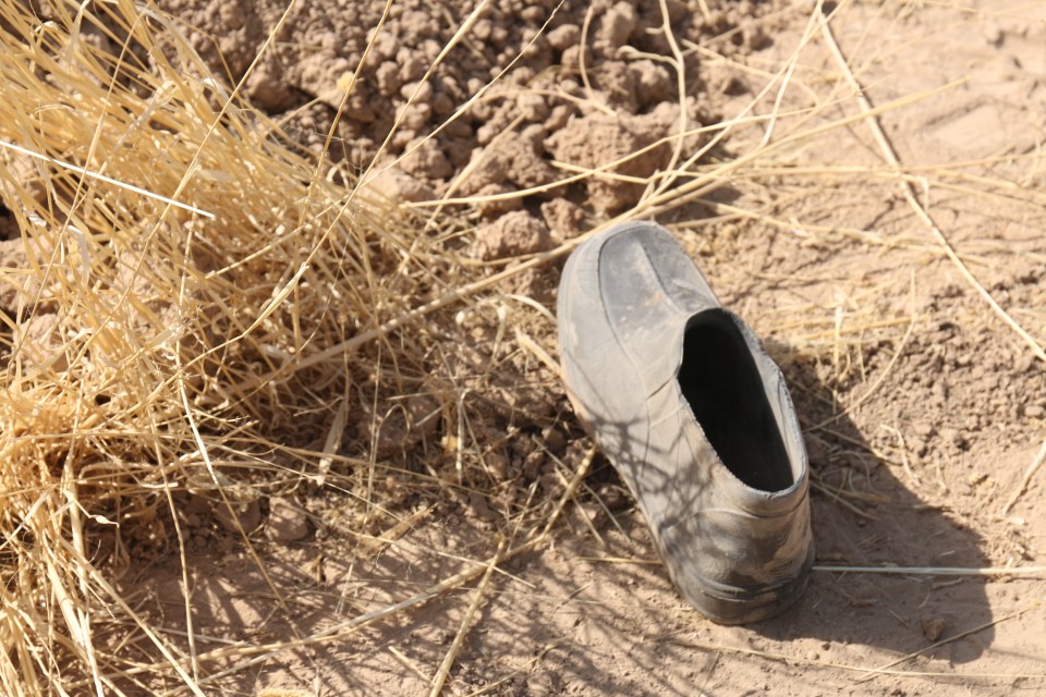 Body parts and pieces of clothing were found scattered across the area