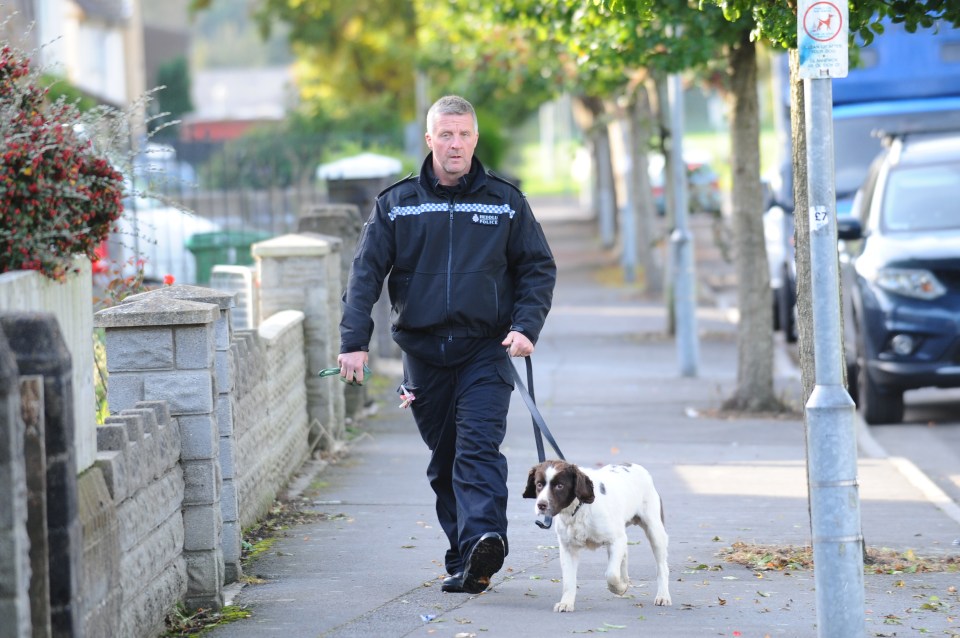  Sniffer dogs and forensic teams are helping with the search