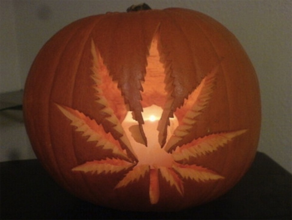 A cannabis leaf is etched into one giant squash