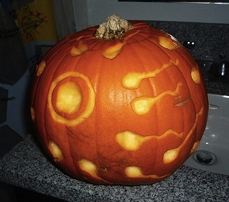 Sperm are etched onto one pumpkin, appearing to make their way towards the egg