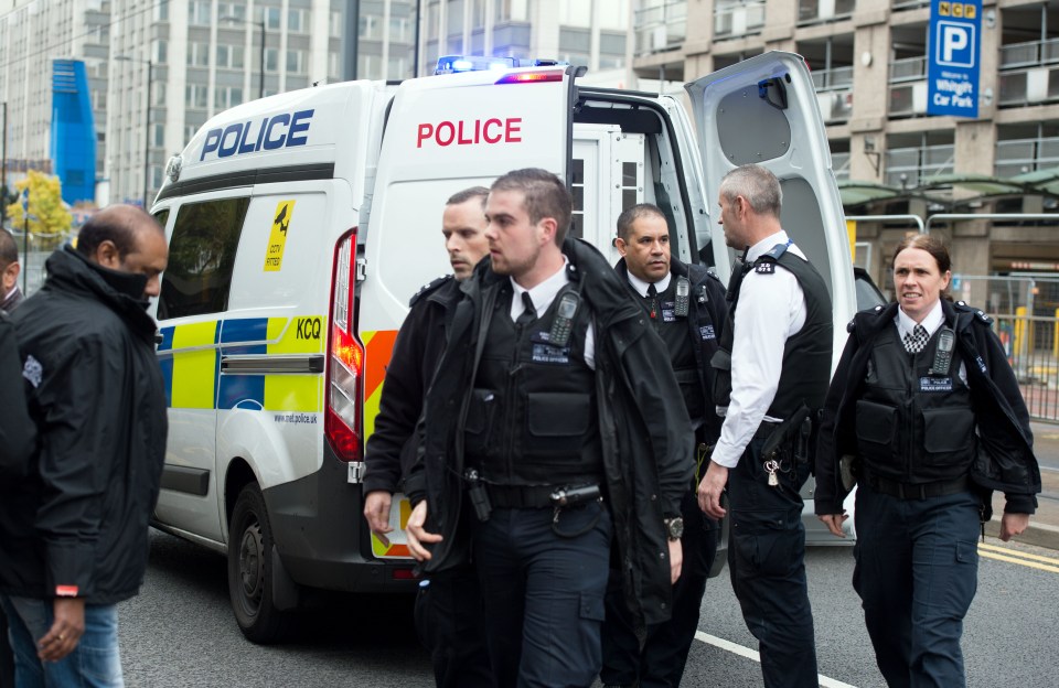  Scotland Yard confirmed the arrest outside Croydon Immigration Centre