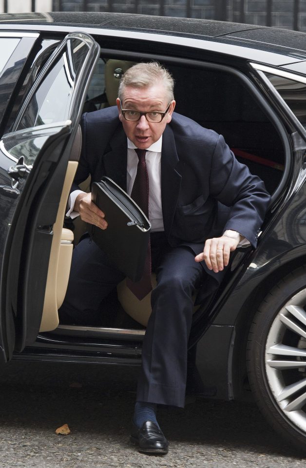 Car-zy . . . Brexit-backer Michael Gove is thrilled with the news after Remain scaremongering