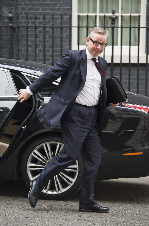 Pleased as punch . . . Michael Gove admits he drives a Nissan 