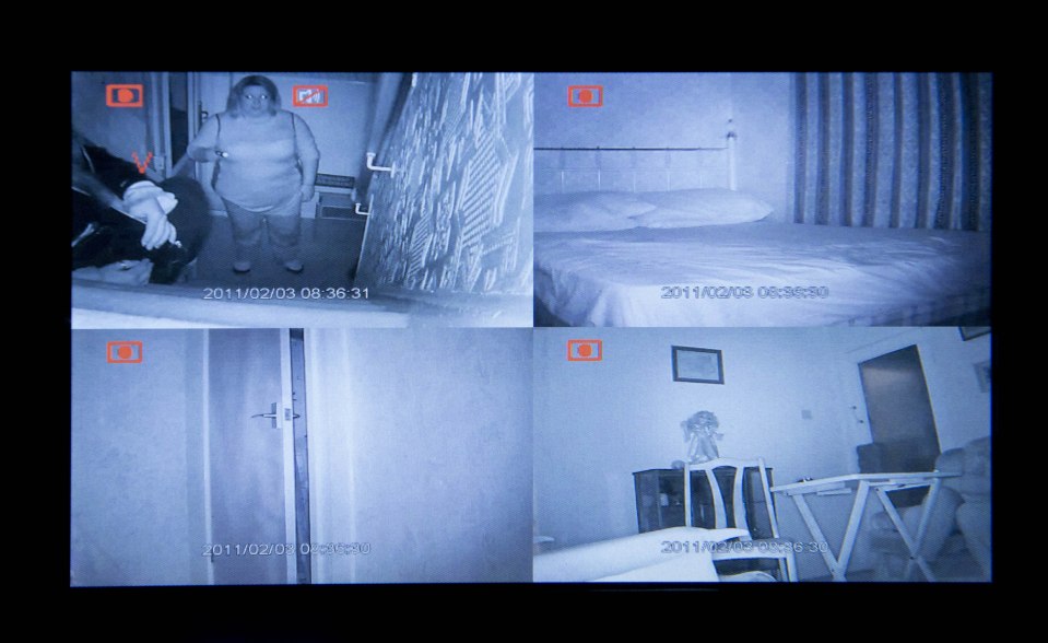  Infra red cameras have been set up before to try to detect any activity