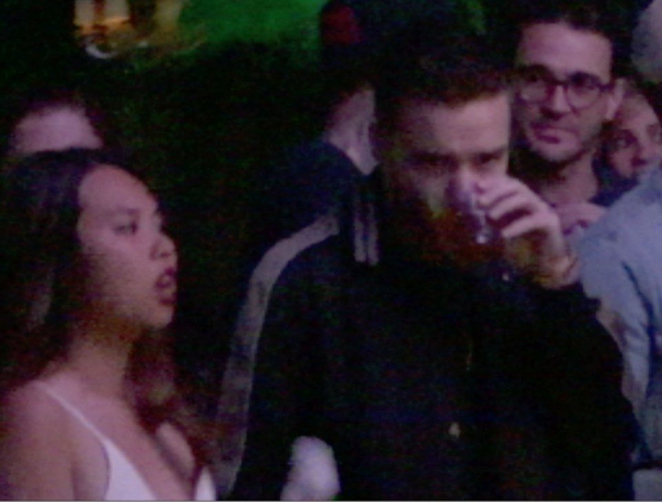 Liam Payne has been pictured partying in Las Vegas