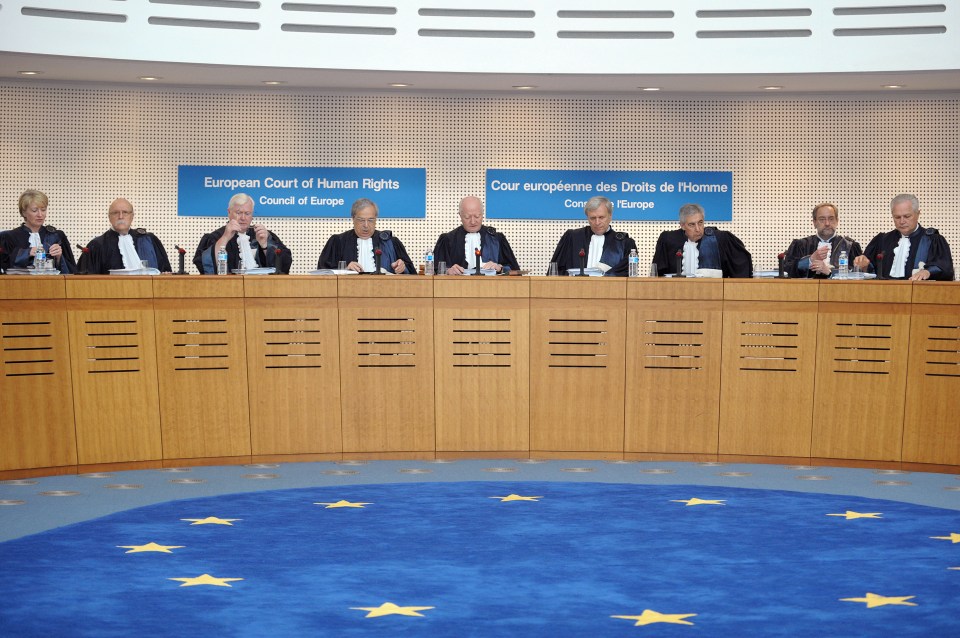  judges sit at the European court of Human Rights in Strasbourg