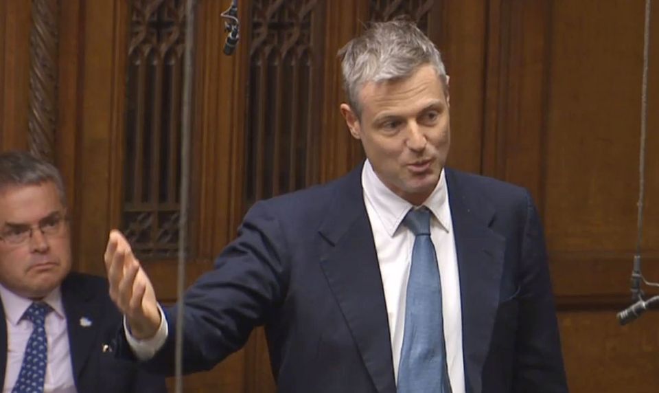  Zac Goldsmith told MPs the decision to back Heathrow was 'wrong' and resigned over the matter