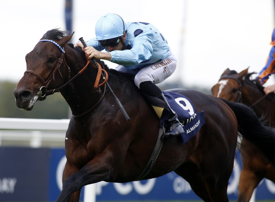  Almanzor was well-beaten on his reappearance and has been retired