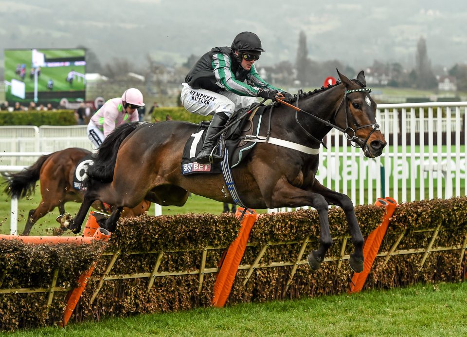  Altior won the Supreme at last year's Festival