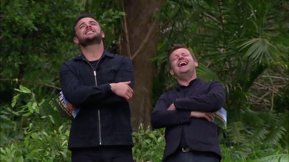  Ant and Dec were amused as the star faced his fears