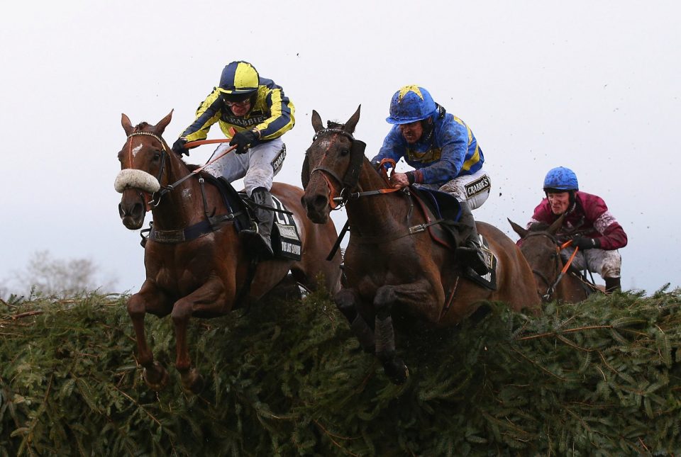  Vics Canvas (right) did well to stay on his feet round Aintree