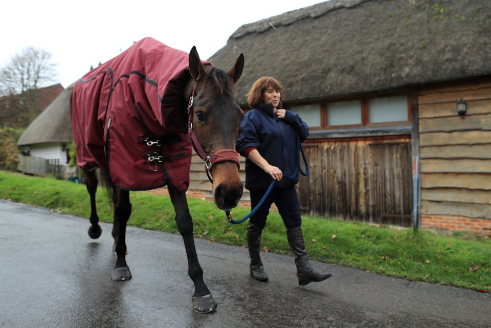 Sara Bradstock walks Coneygree around the village as he gears up for his return