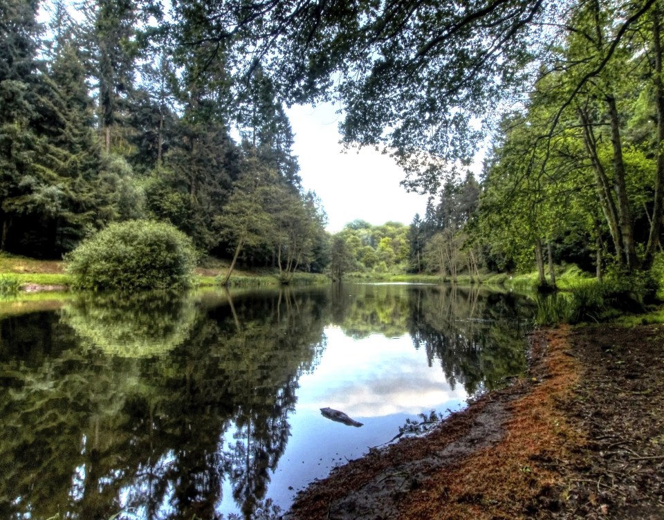  Water great time you'll have cycling in forest