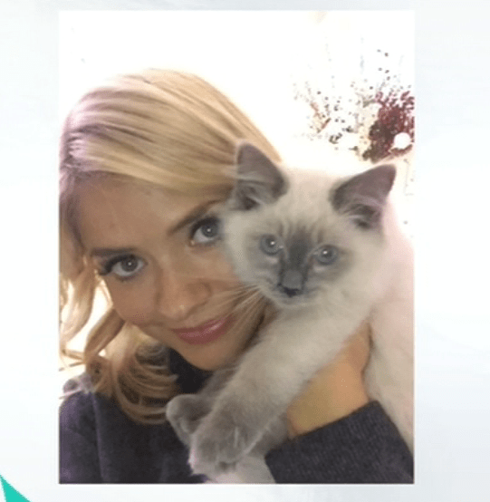  Holly Willoughby revealed she has got kittens