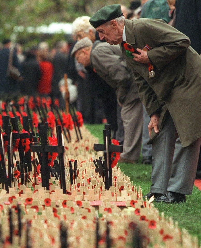  British Army veteran looks over rows of miniature crosses after a remembrance day service outside Westminster Abbey