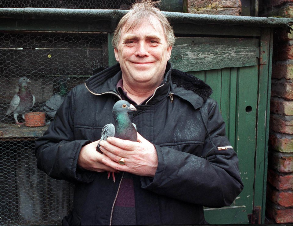  Bill playing Jack Duckworth in soap with one of his beloved pigeons