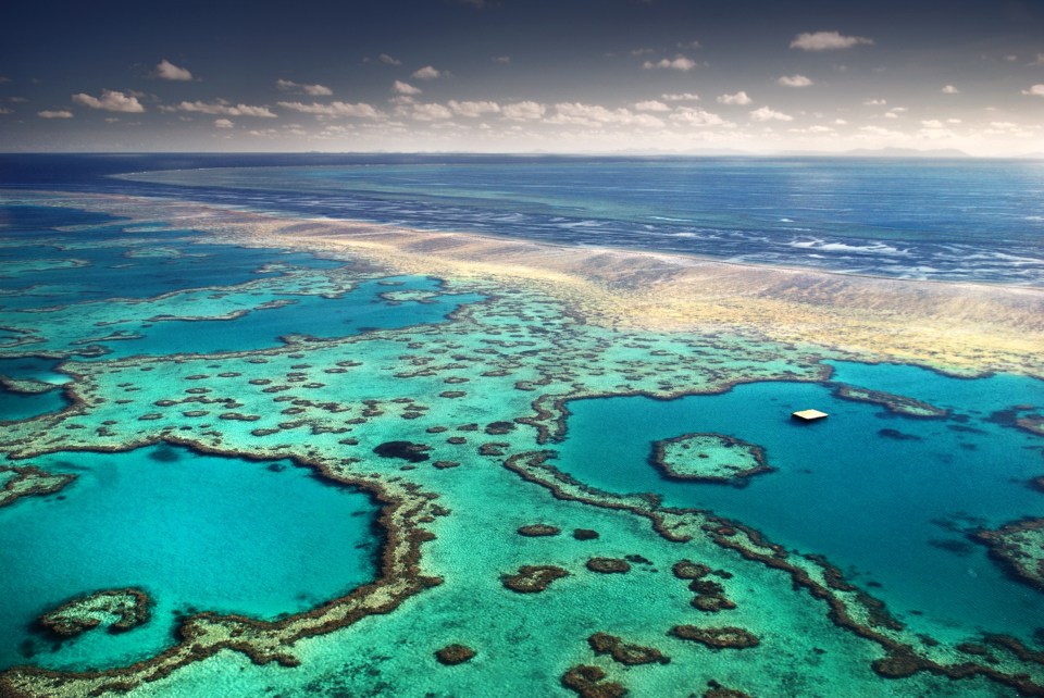  The two pensioners are said to have died of heart attacks at the same time on the Great Barrier Reef (File image)