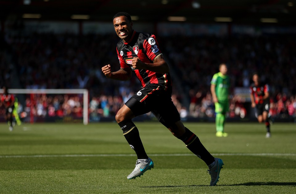  Callum Wilson is Bournemouth's talismanic - and most prolific - striker