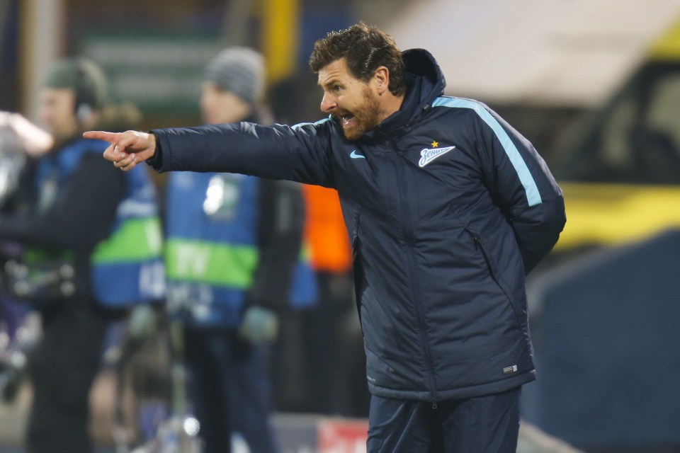 AVB is on the lookout for work after leaving Zenit St Petersburg earlier this year