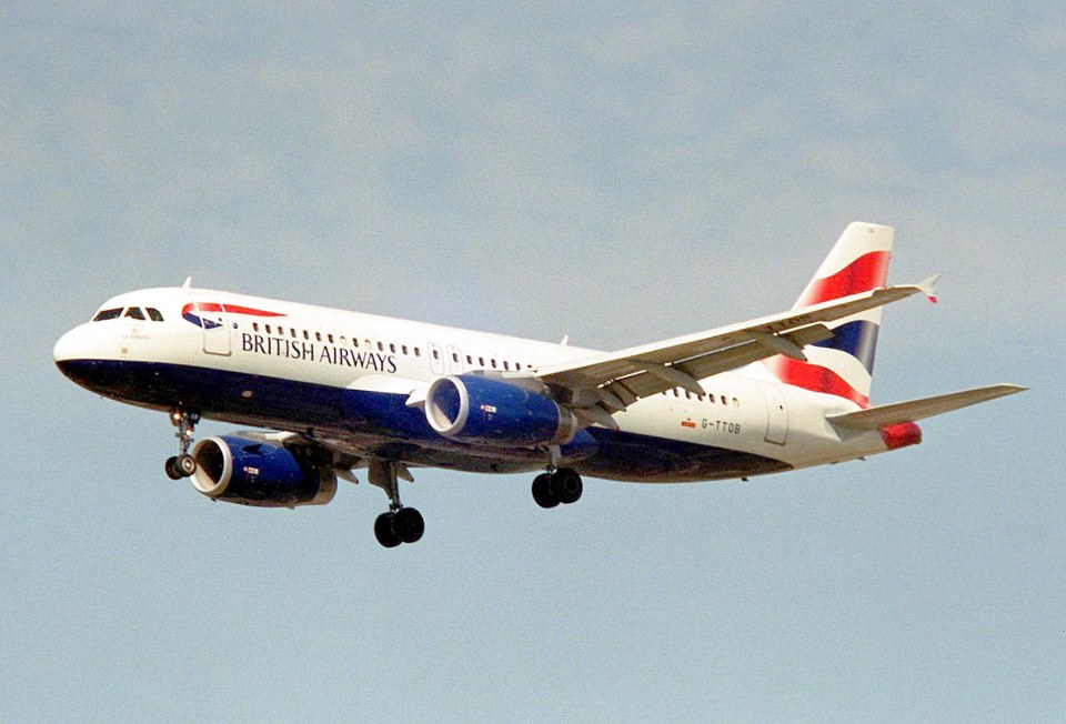 British Airways Airbus A320... like the plane involved in the Tenerife incident