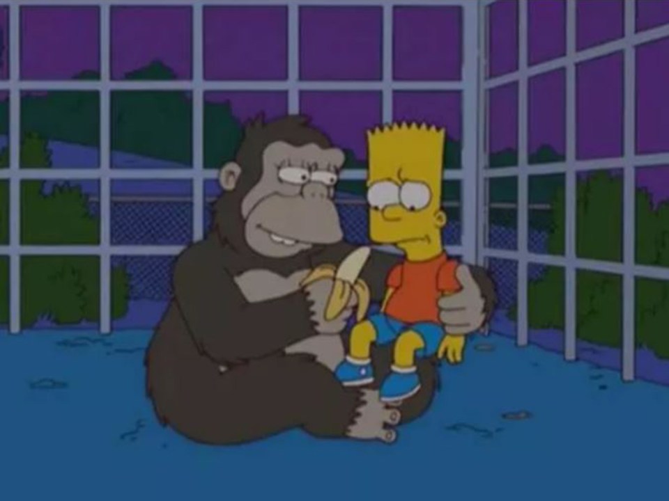 The 2006 episode where an elderly chimpanzee takes Bart under her wing