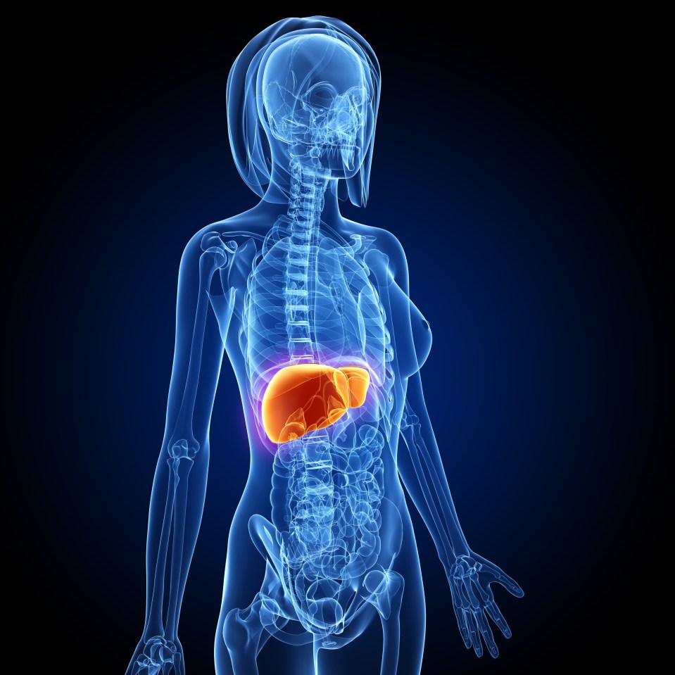  Liver cancer is very rare in children, more often being diagnosed in adults over the age of 70