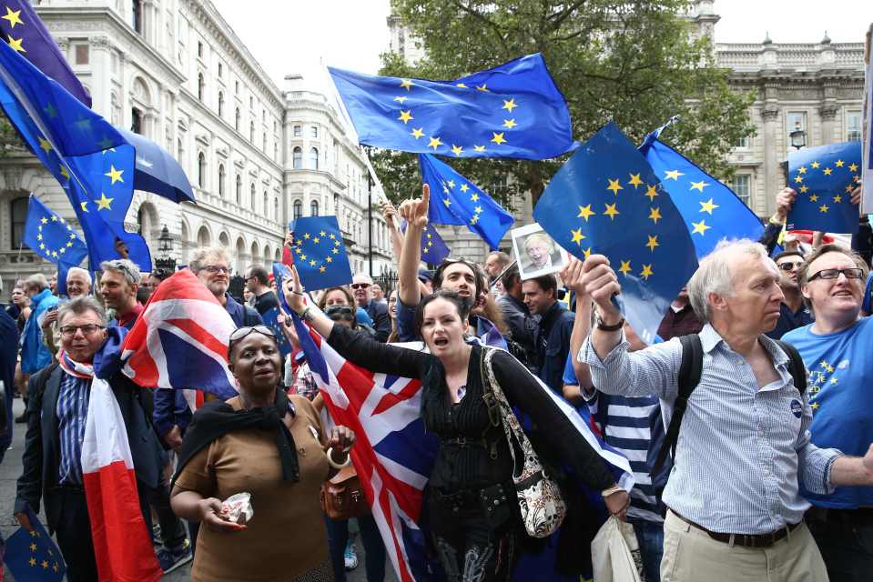 They said the campaigning over Brexit has "polarised" the country