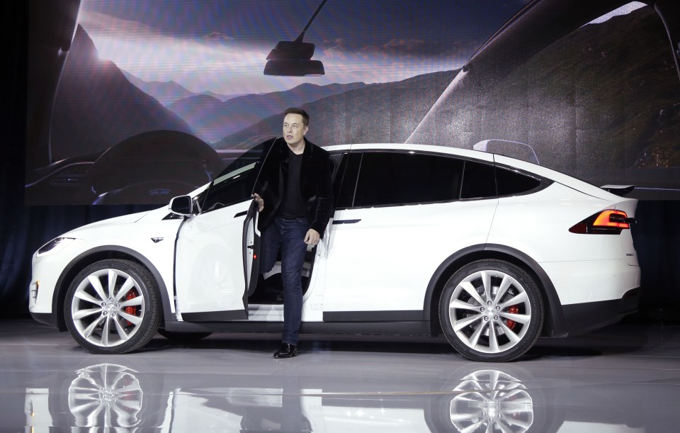  Elon Musk poses with his Model X Tesla vehicle