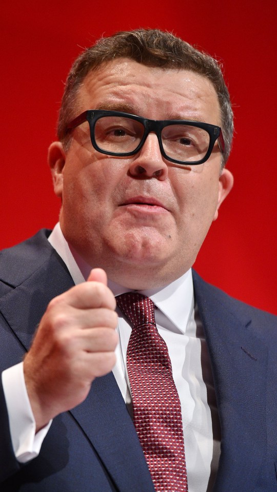  Labour deputy leader Tom Watson branded the consultation announcement 'a sad day'