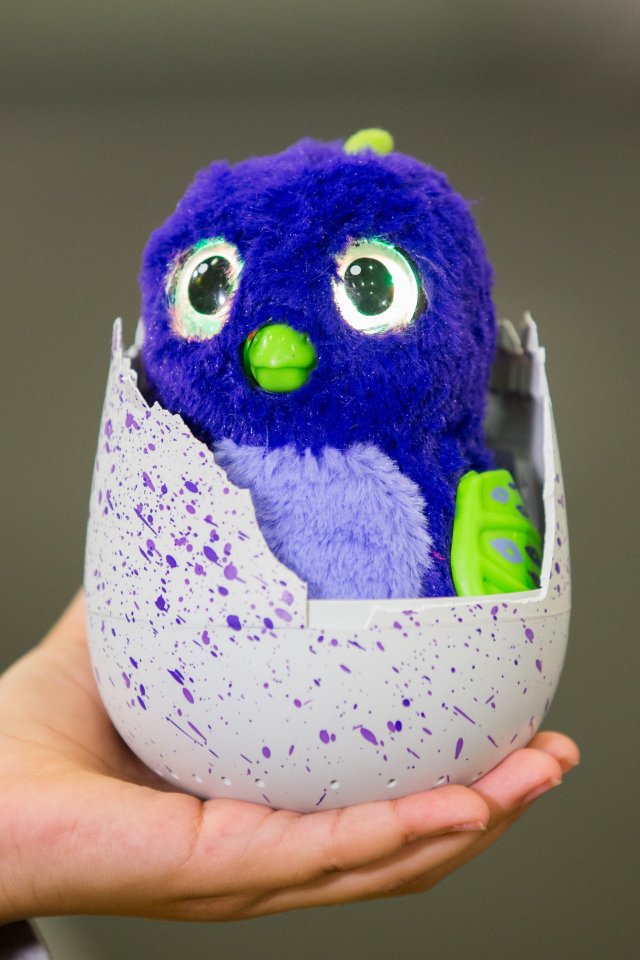  Apparently this year's Christmas must-have for boys and girls everywhere is the £59.99 Hatchimals